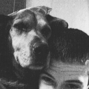 Meet your Posher, Jake