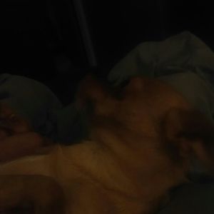 Meet your Posher, Robert