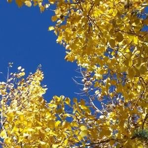 Meet your Posher, Beverly