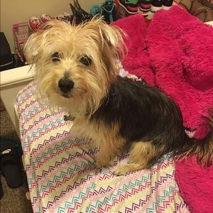 Meet your Posher, Kiera