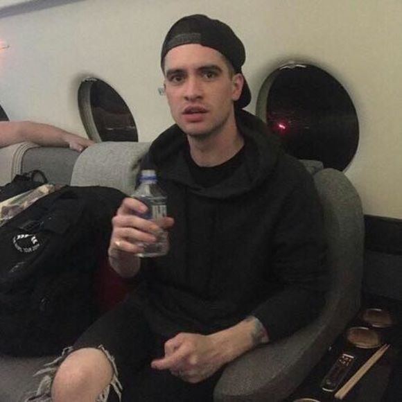 Meet your Posher, Bella - Picture 1 of 1