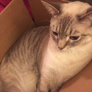 Meet your Posher, Keren