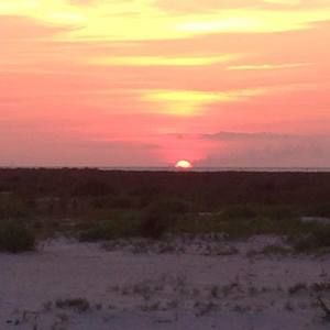 Meet your Posher, Judy