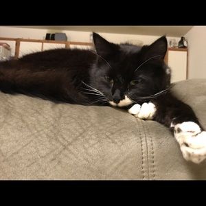 Meet your Posher, Rob