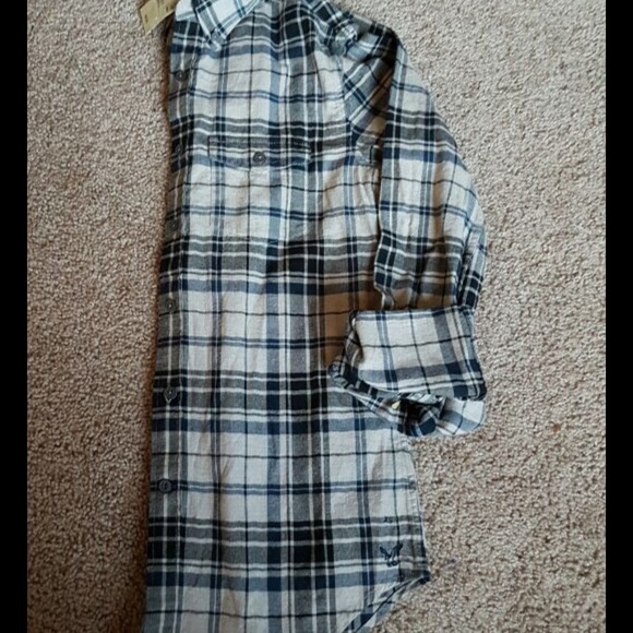 American eagle - Picture 4 of 4