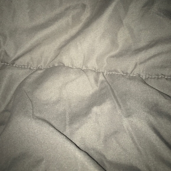 Meet your Posher, Benjamin - Picture 1 of 1