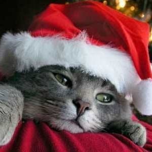 Meet your Posher, Terry