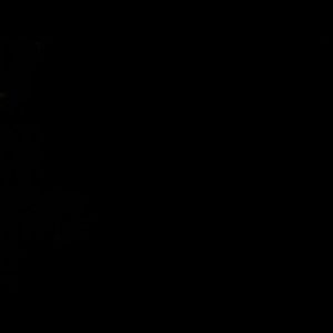 Meet your Posher, Elijah