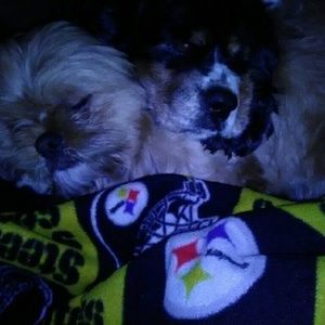 Meet your Posher, Tyler