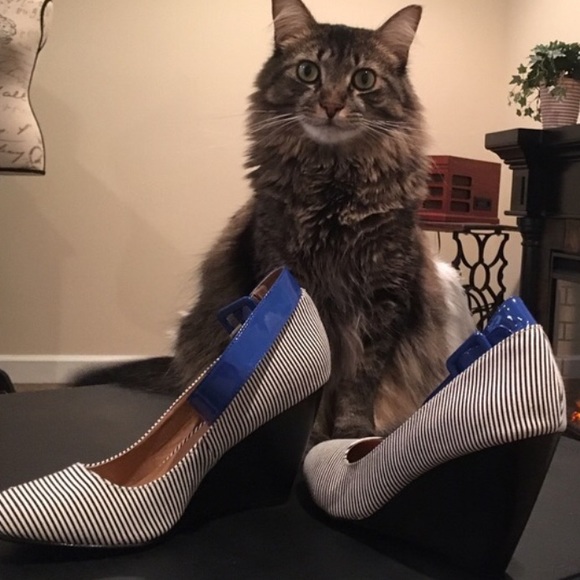 Meet the Posher - Picture 3 of 4