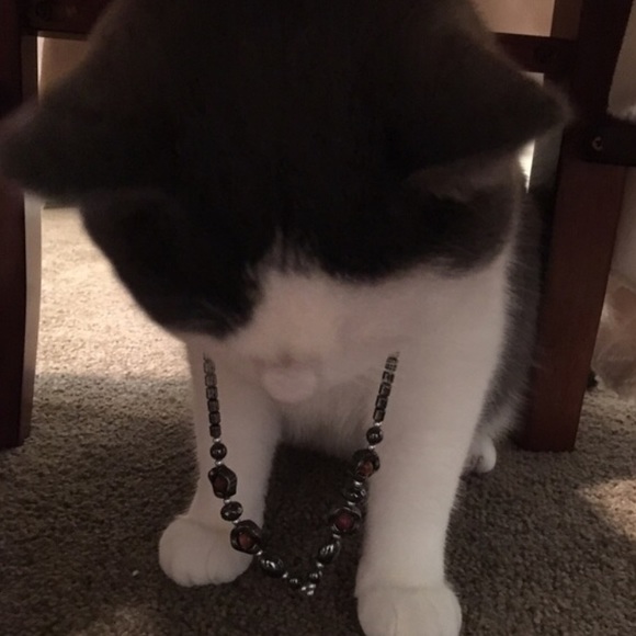 Meet the Posher - Picture 2 of 4