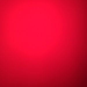 Meet your Posher, Annie