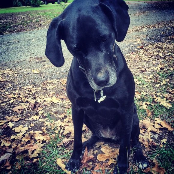 Meet your Posher, Chris - Picture 1 of 1