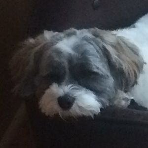 Meet your Posher, Devin