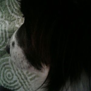 Meet your Posher, Elena