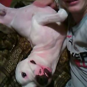 Meet your Posher, Lee