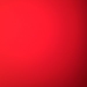 Meet your Posher, Mitzi