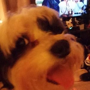 Meet your Posher, Vikki m