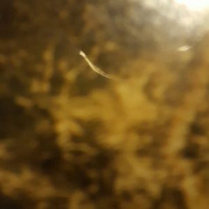 Meet your Posher, Jairo