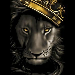 Meet your Posher, Ankeny