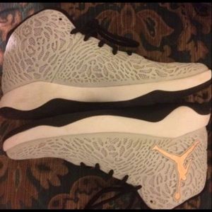 Jordan Ultra fly