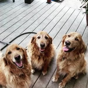 Meet your Posher, Jacob