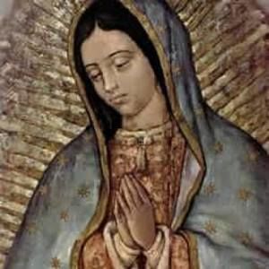 Meet your Posher, Cesar