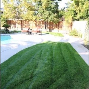 Meet your Posher, Adrian