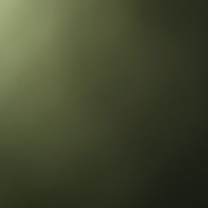 Meet your Posher, Leticia