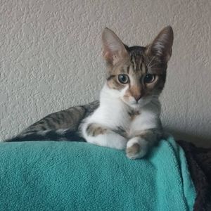 Meet your Posher, Marty