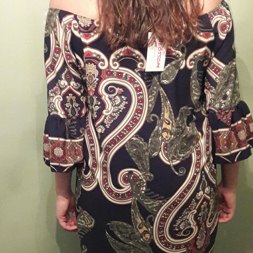 🆕NEW BLOSSOM PAISLEY PRINT VINTAGE STYLE DRESS - Picture 3 of 7