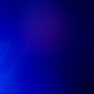 Meet your Posher, Bernie