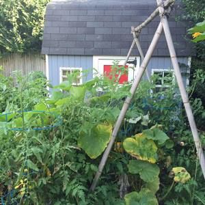 Meet your Posher, Tara