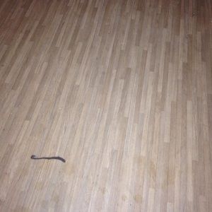 Meet your Posher, Billy