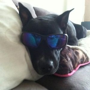 Meet your Posher, Kelly