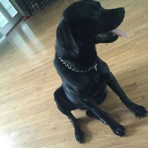 Meet your Posher, Curtis