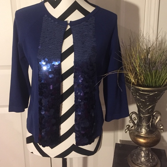Ann Taylor Sequined Sweater
