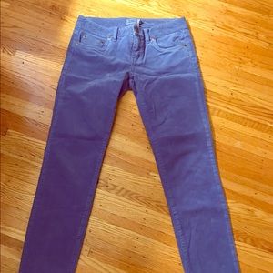 Vineyard Vines Blue Ankle Corduroy Pants Sz 0
