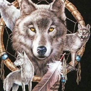 Meet your Posher, Norma