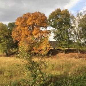 Meet your Posher, Leanne