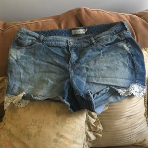 Cute as can be Torrid lace trim shorts