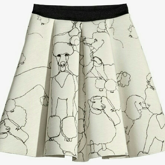 H&M Poodle Skirt