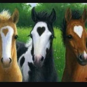 Meet your Posher, Melonie