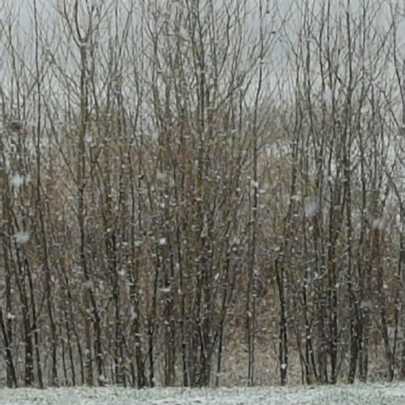 Meet your Posher, Kayann