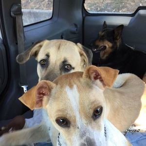 Meet your Posher, Melinda