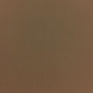 Meet your Posher, Cami