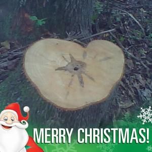 Meet your Posher, Betty jo