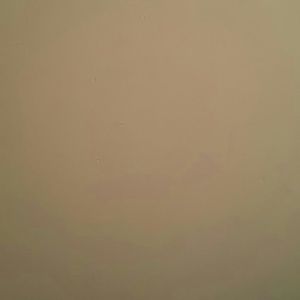 Meet your Posher, Ricshone