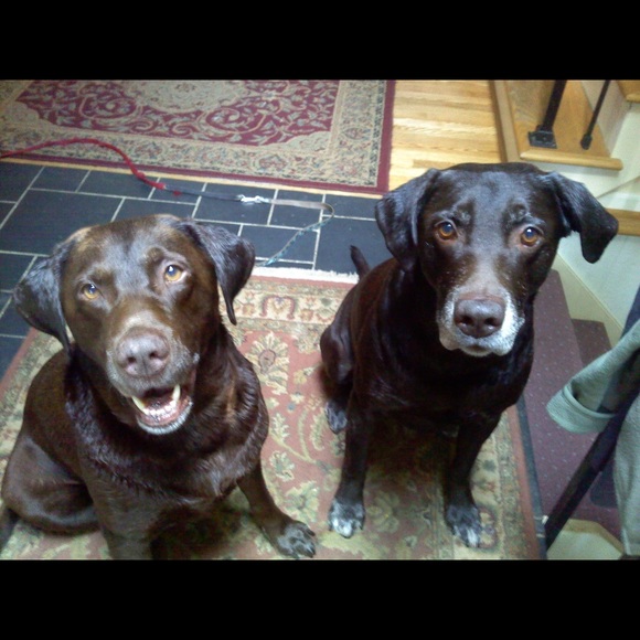 Meet your Posher! Hi I'm sandra- - Picture 4 of 5