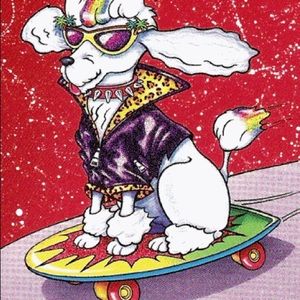 Meet your Posher, Michelle